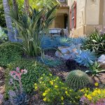 Arizona yard with desert landscaping